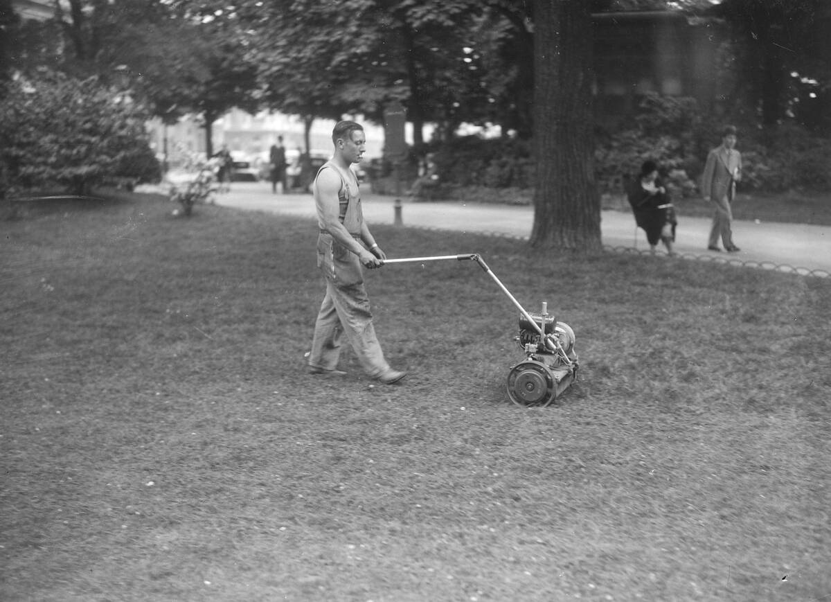 Un homme tond la pelouse d'un parc public