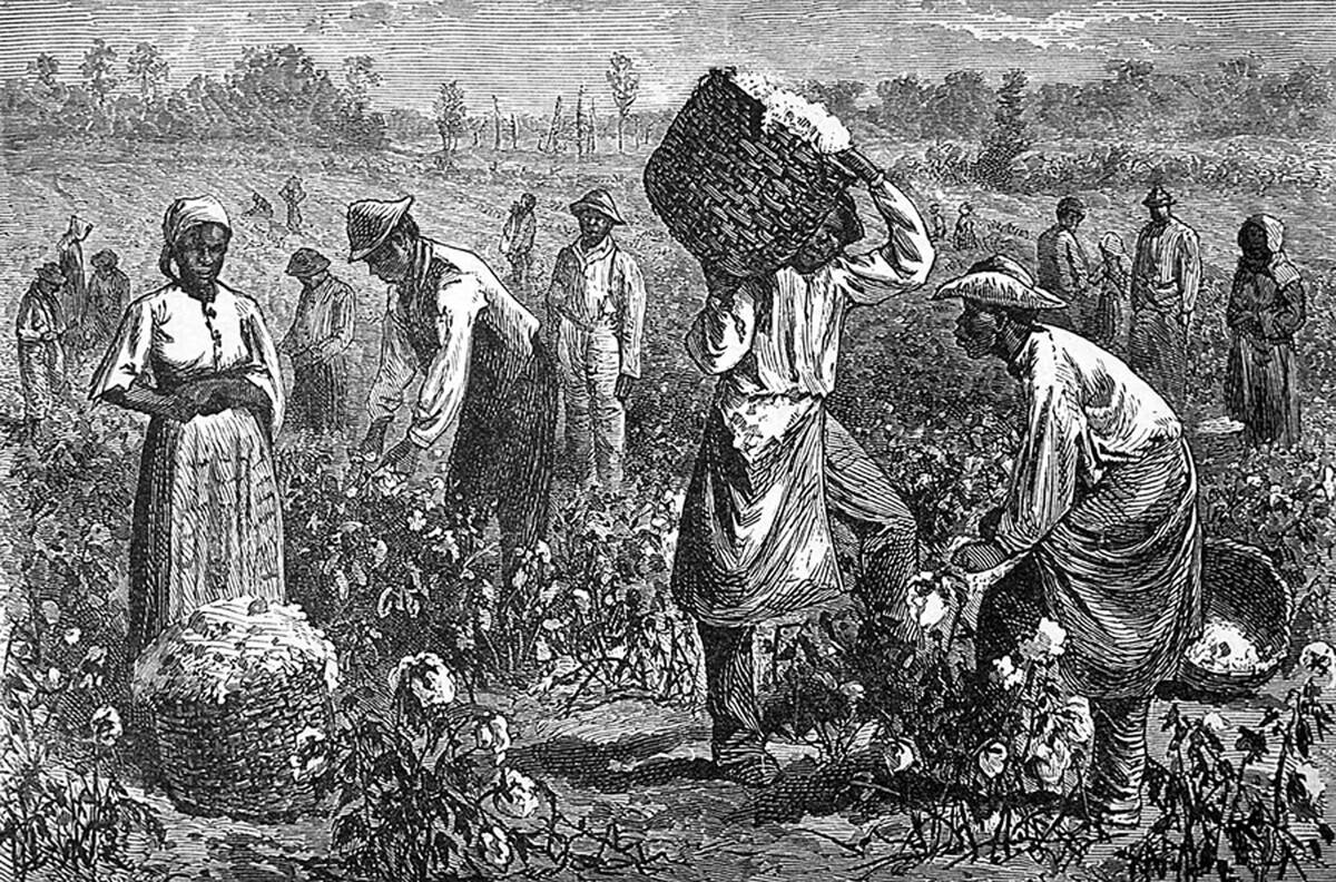 USA: Slaves picking cotton in the American south. 19th century engraving