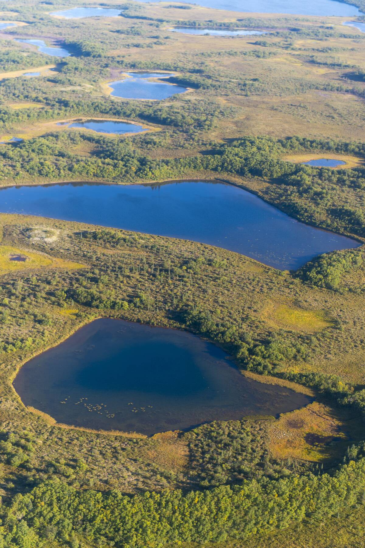 View of the tundra with lakes and muskeg during the flight...