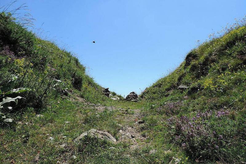 Belasitsa_Nature_Park_05.jpg-89103