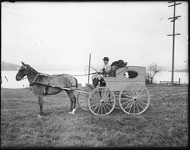George_Yates_Dog_and_Cat_