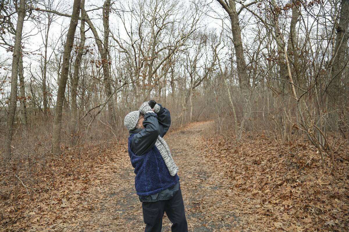 A birdwatcher looks through binoculars at Long Island wildlife refuge