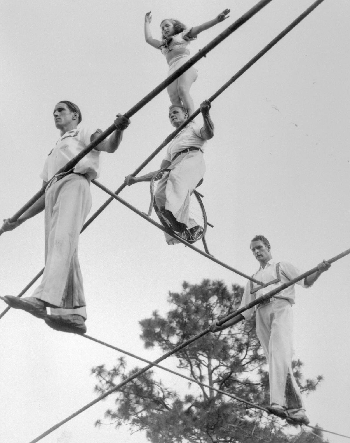 Aerial Wire Artists The Wallendas