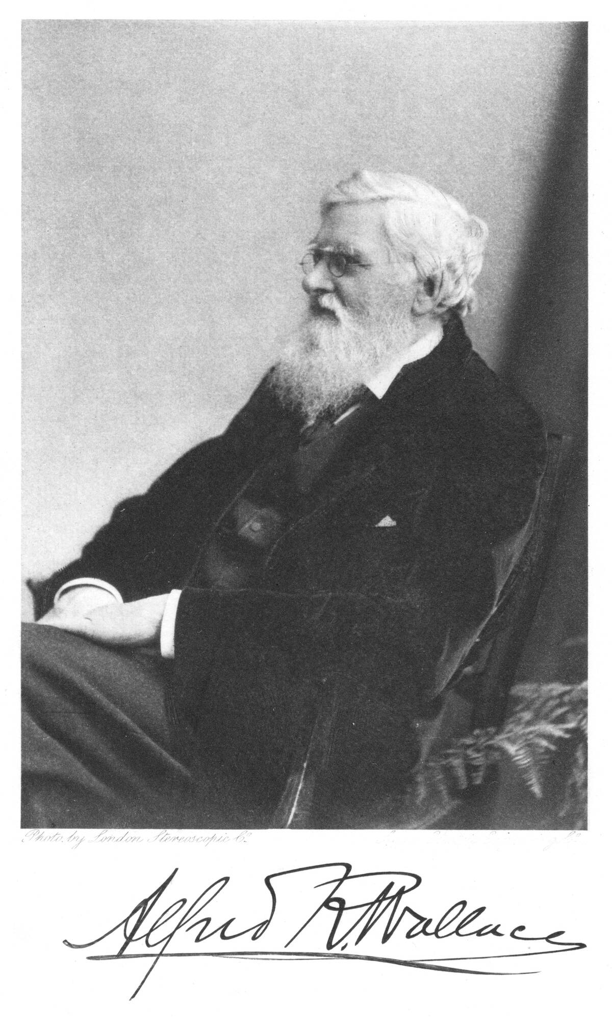 Alfred Russell Wallace (1823-1913) Welsh-born British naturalist. From Edward Clodd Pioneers of Evolution, London,1908...
