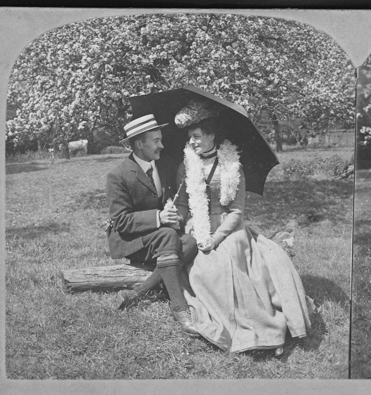 An Engaged Couple