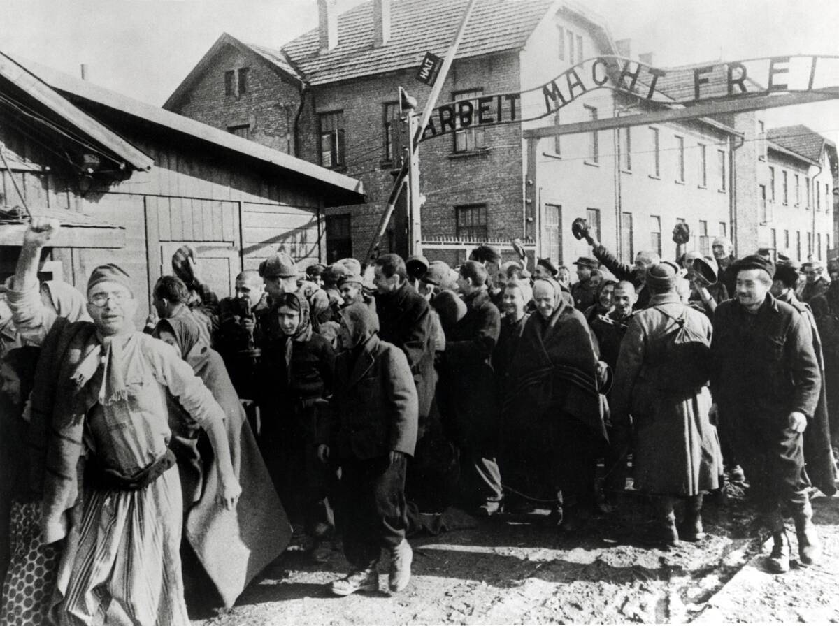 Auschwitz Survivors