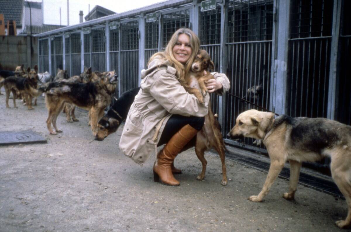 Brigitte Bardot.