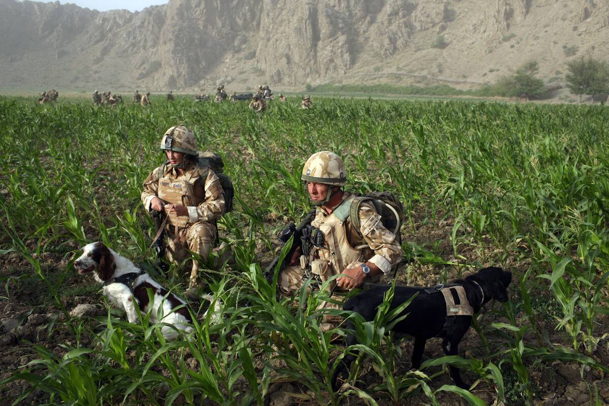 British Paratroopers Conduct Operation To Capture Taliban Leaders