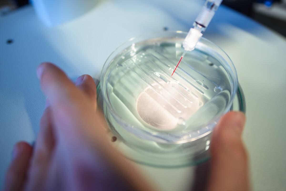 dpa-story: Crispr
