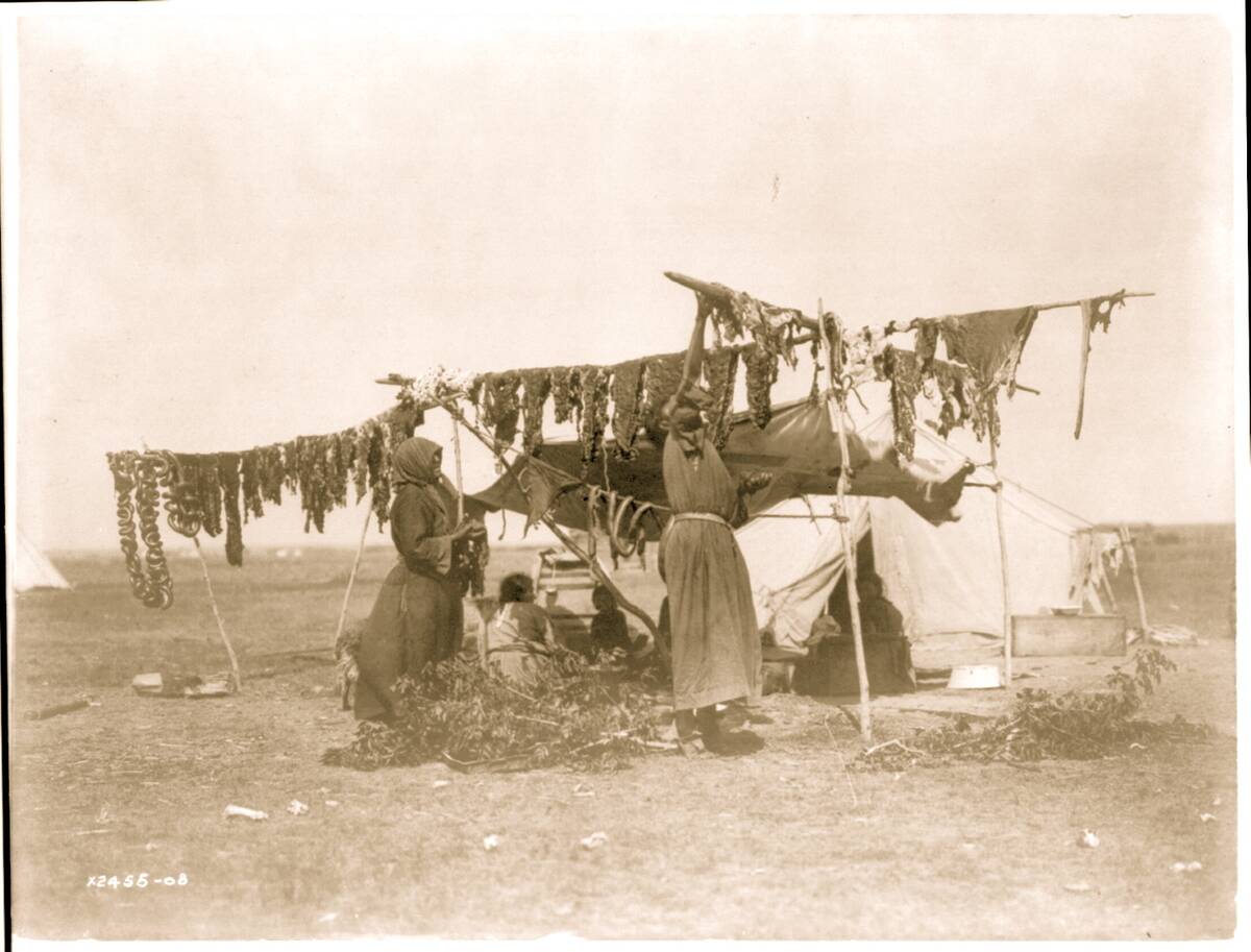 Drying meat