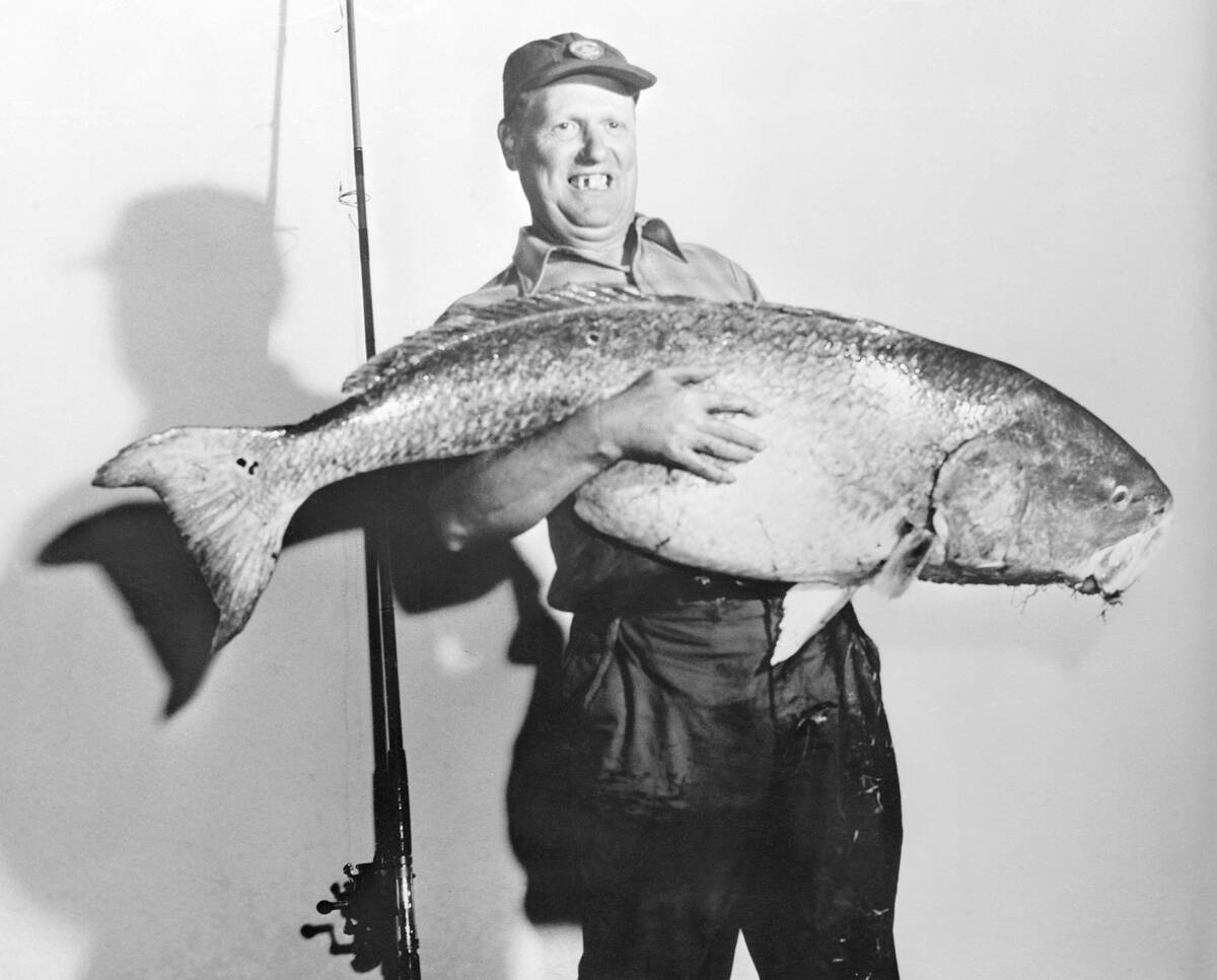 Fisherman Posing With Huge Fish