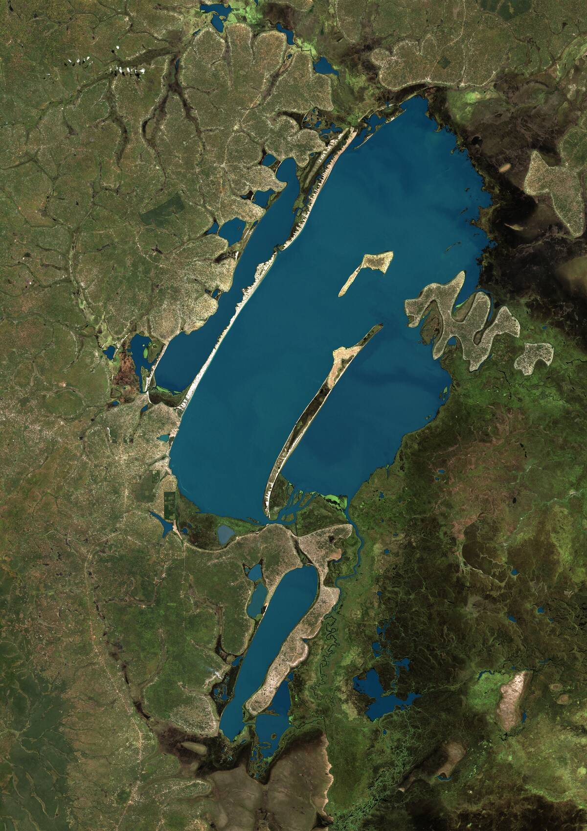 Lake Bangweulu, Zambia, True Colour Satellite Image