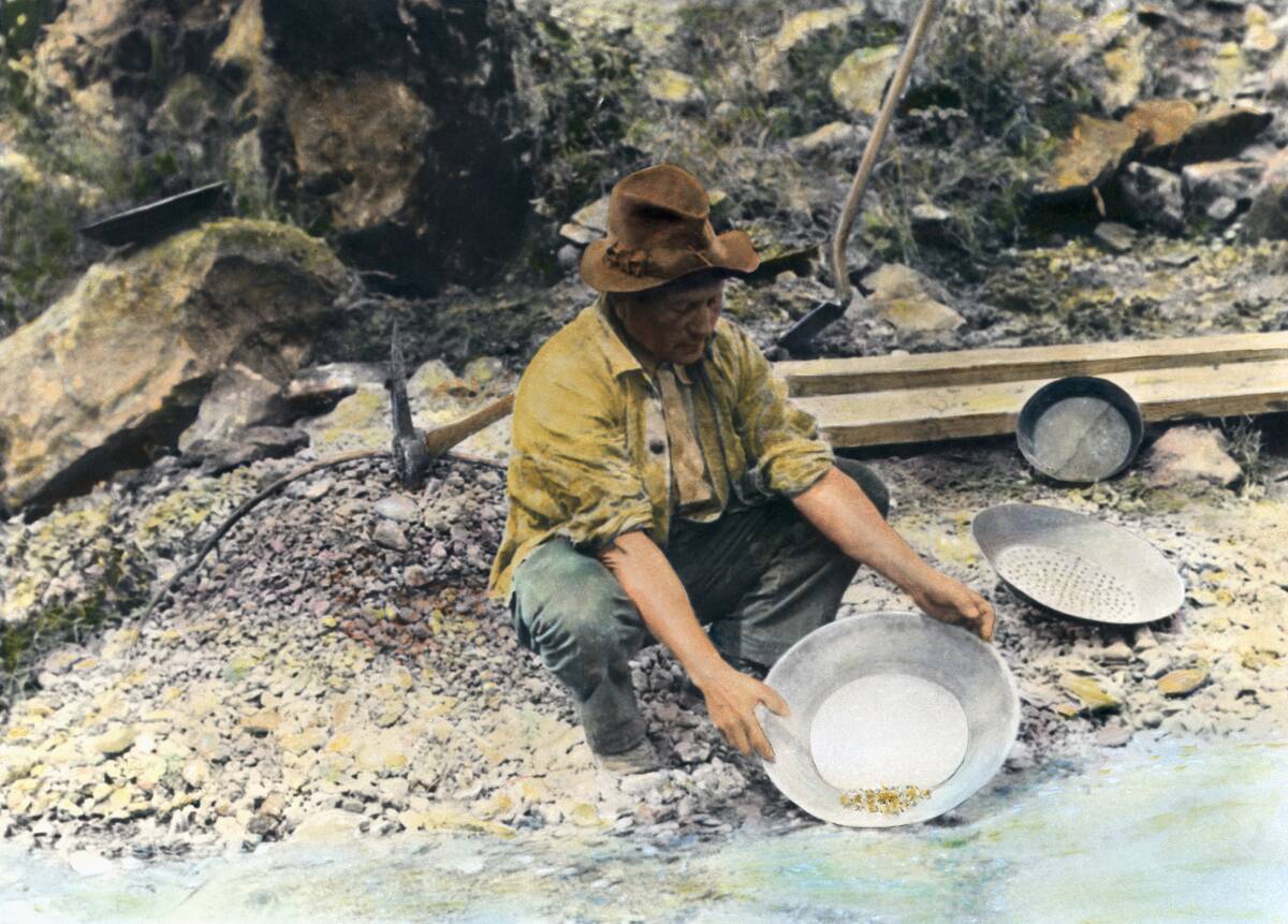 Miner Panning For Gold