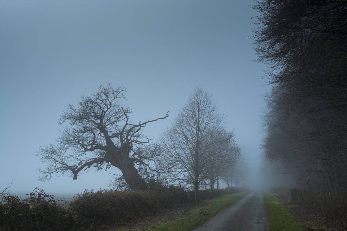 Misty Morning in The Cotswolds