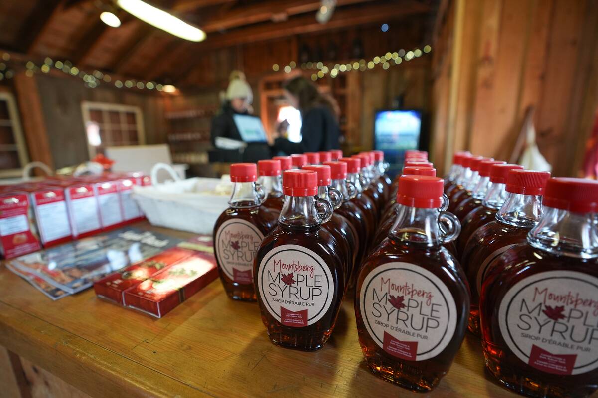 Mountsberg's Maple Town in Canada