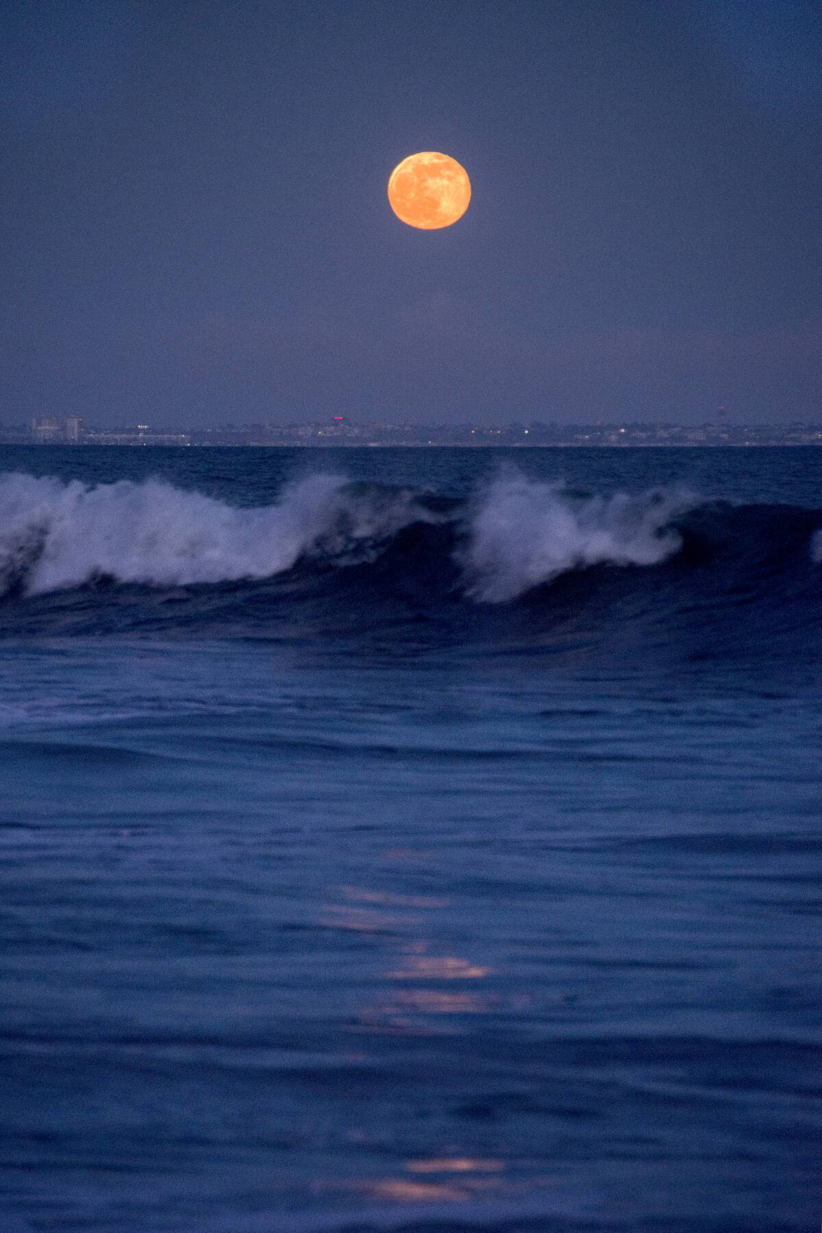 Nicollette Sheridan's Thirtieth Birthday