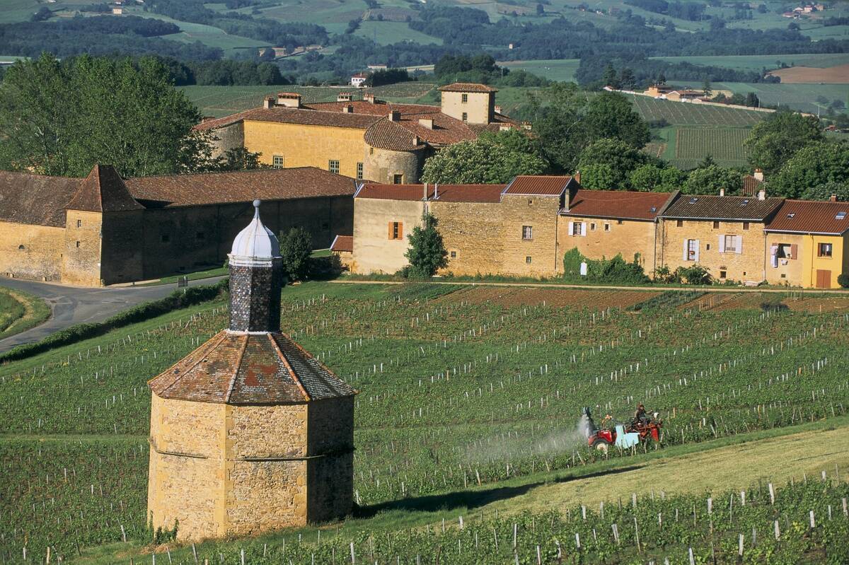PIGEONNIER DU CHATEAU, BAGNOLS, BEAUJOLAIS, RHONE, FRANCE
