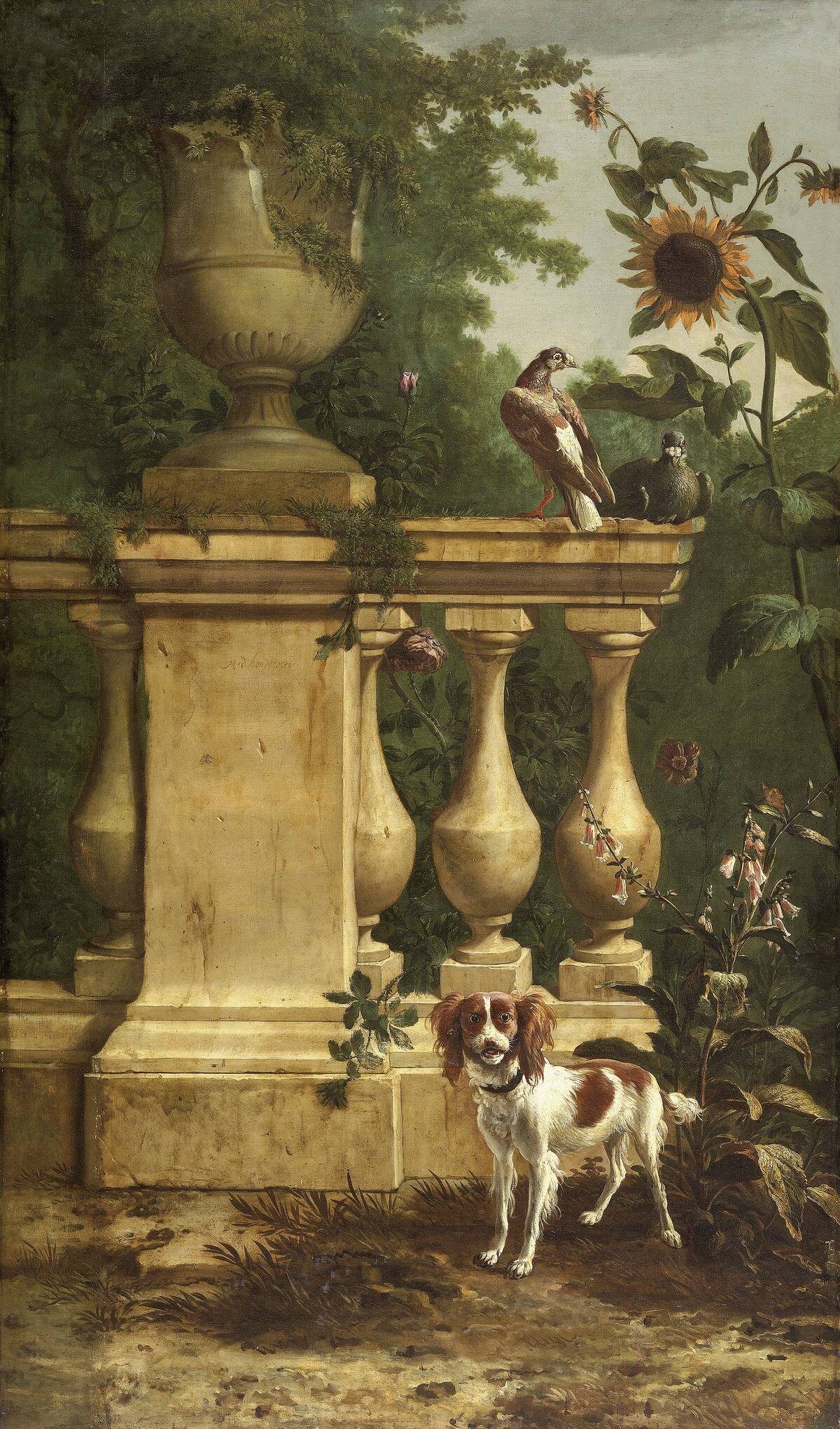 Pigeons And A Dog In A Garden