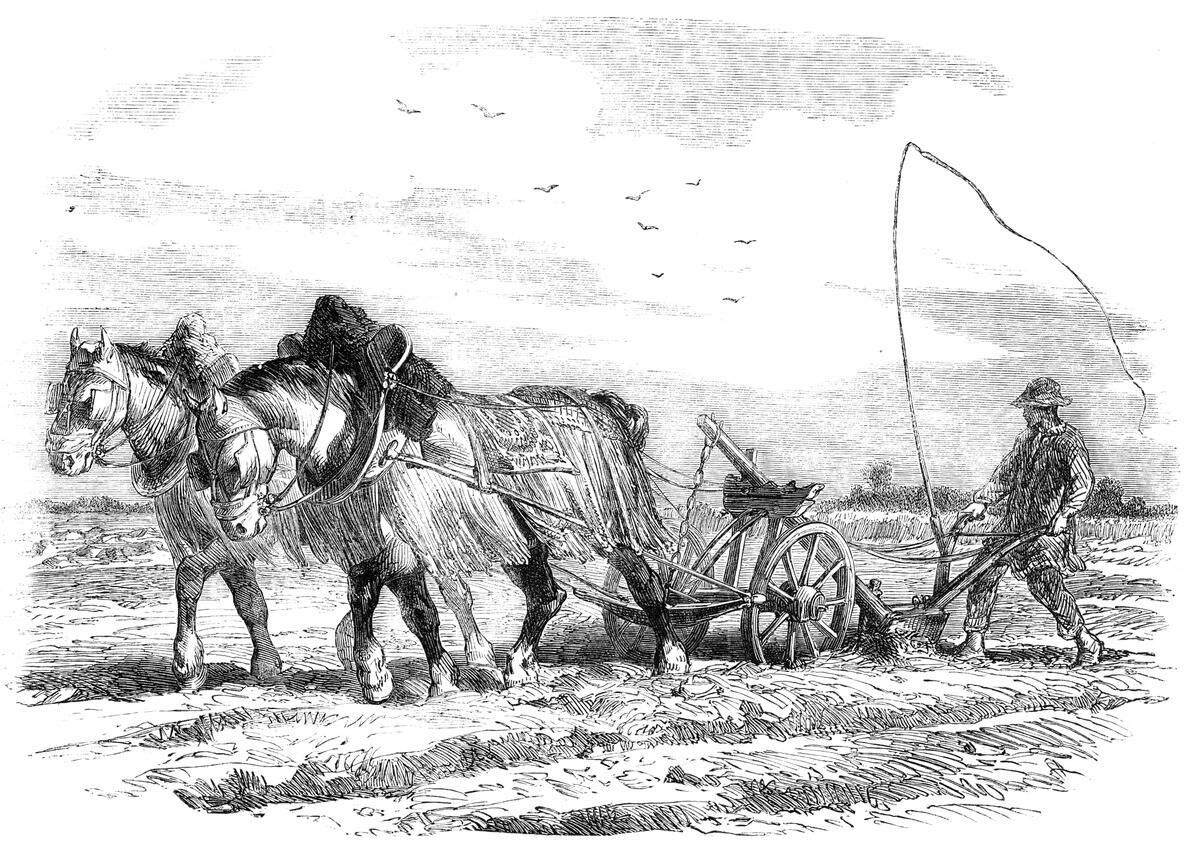 Ploughing In France