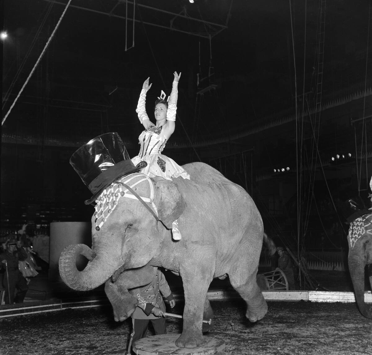 Ringling Bros. and Barnum & Bailey Circus