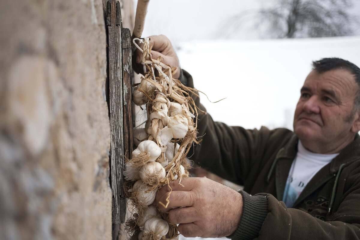 SERBIA-TOURISM-MEDIA-TRADITION