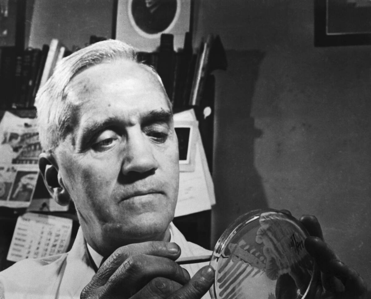 Sir Alexander Fleming in His Laboratory
