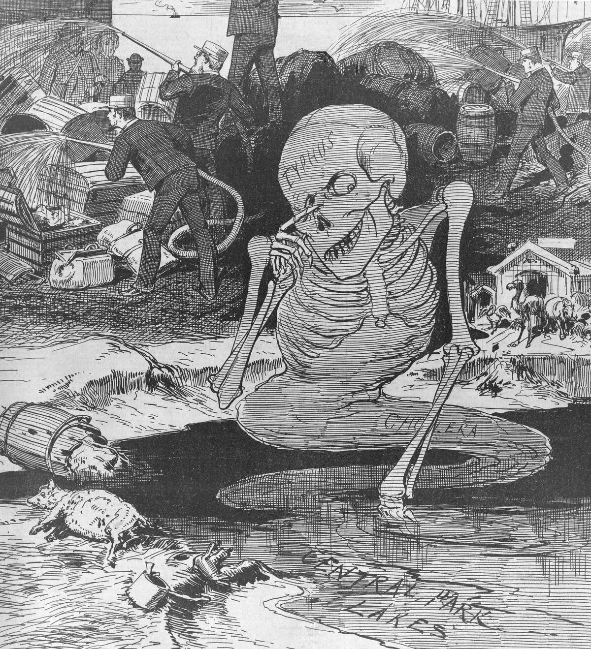 Skeleton at Chaotic Scrimmage