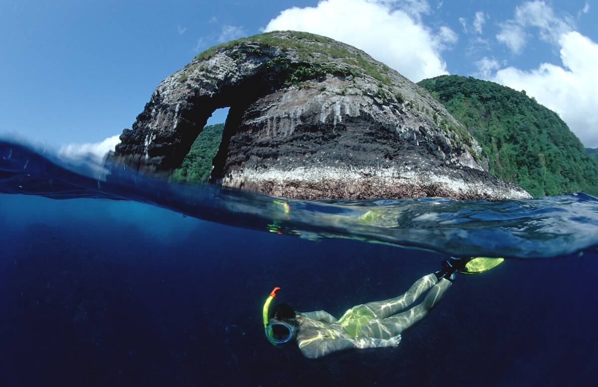 Skindiving, Skin diver, split image, Costa Rica, Pacific Ocean, Cocos Island, Latin america