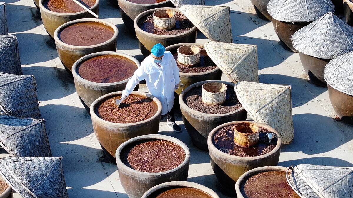 Soy Sauce Production In Lianyungang