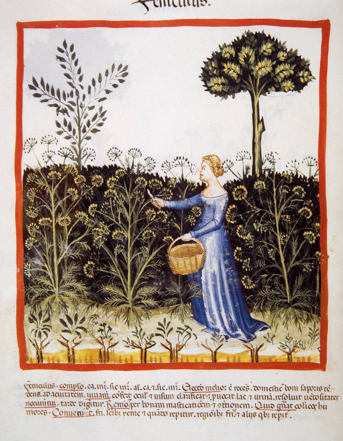 Tacuinum Sanitatis