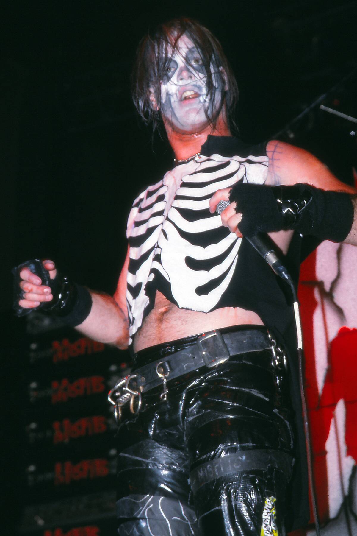 The Misfits In Concert