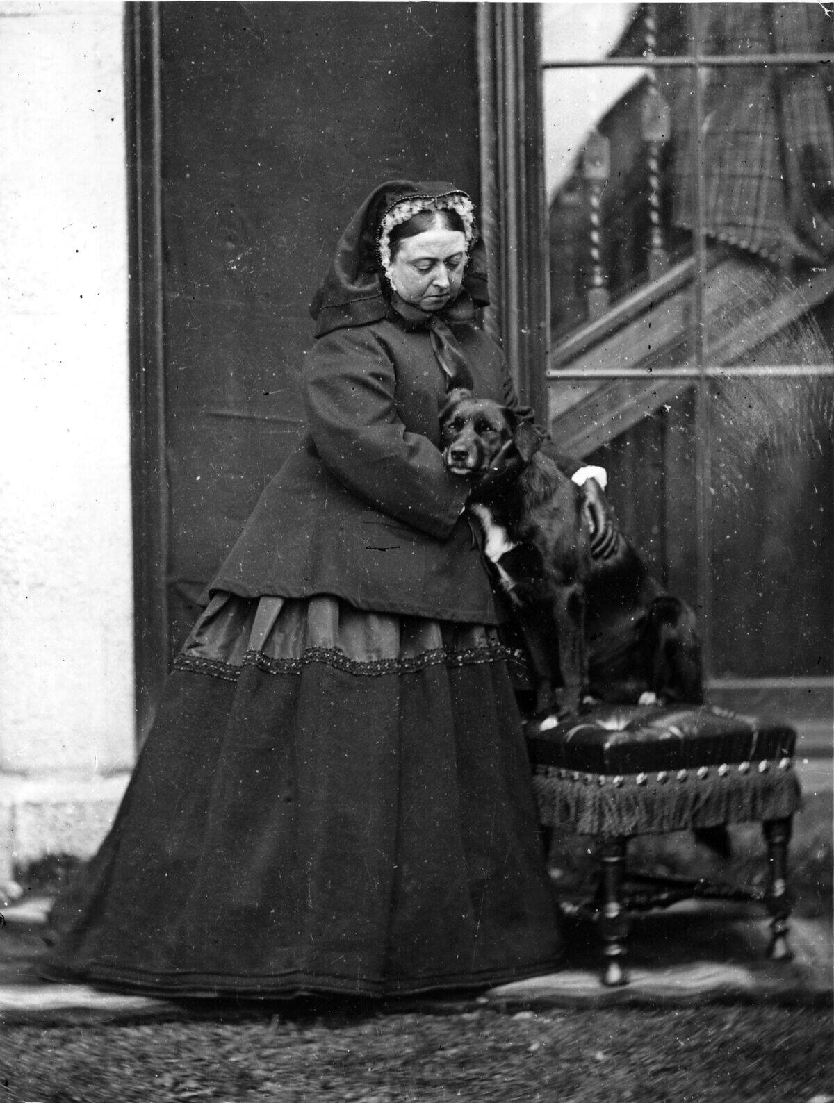 The Queen's Dog