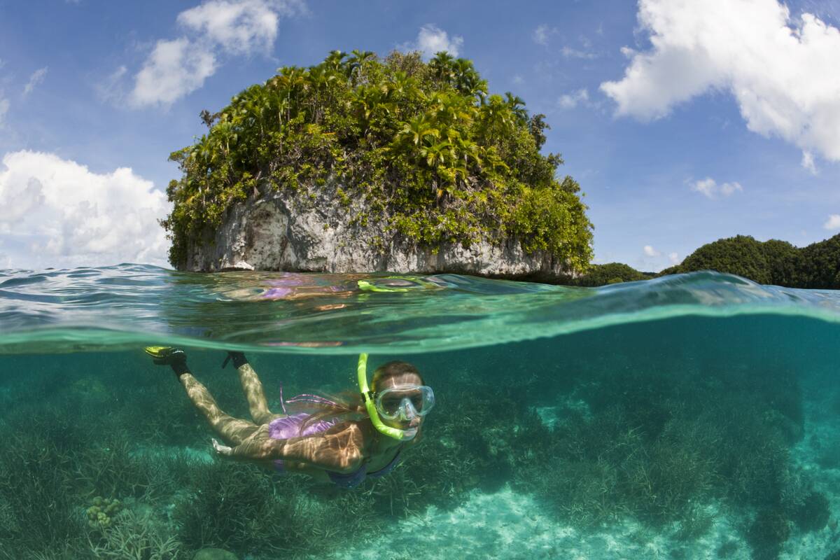 Tourist snorkeling at Palau, Micronesia, Palau