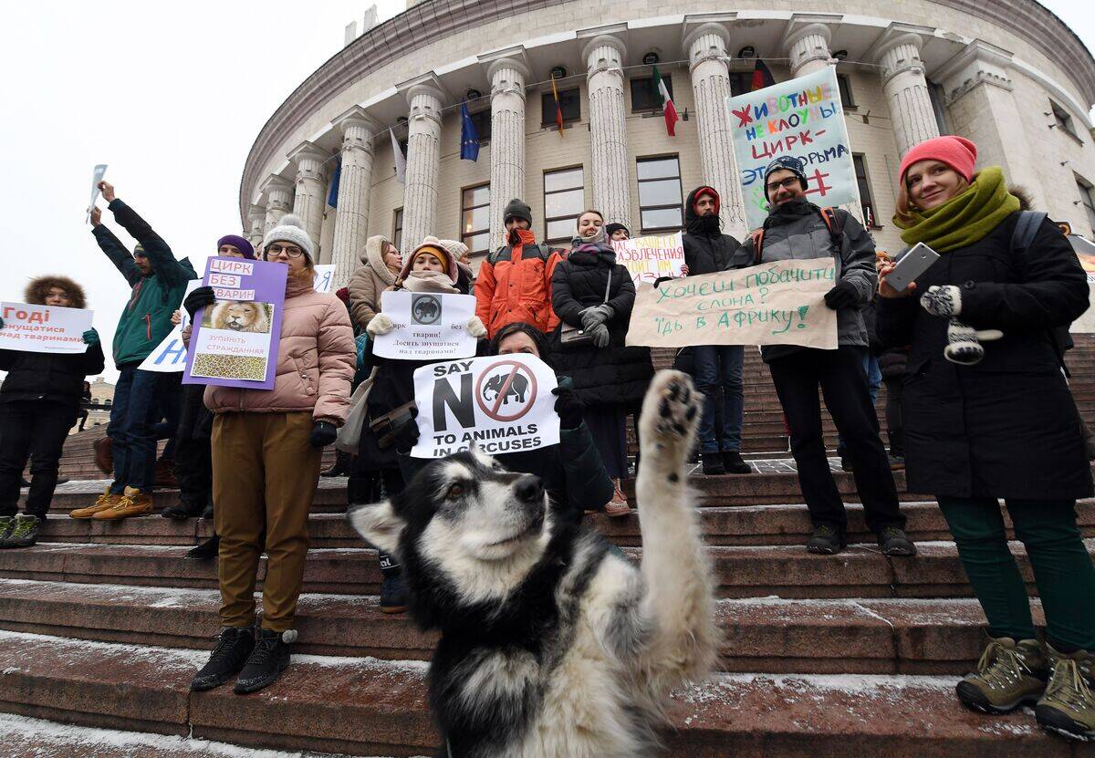 UKRAINE-ENTERTANMENT-CIRCUS-ANIMALS-DEMO