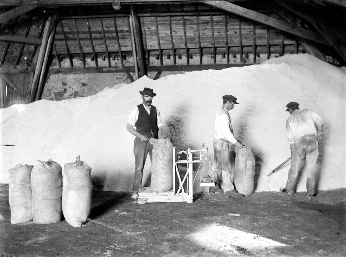 Weighing and packing-up of the refined salt in a r