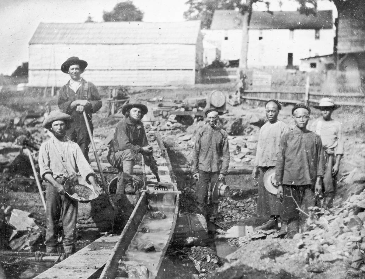 Western And Chinese Miners During The California Gold Rush At Auburn Ravine