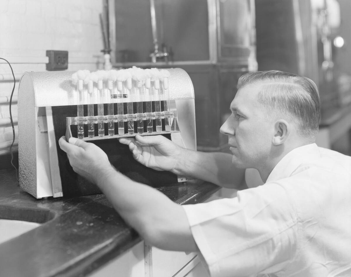 Worker Testing Penicillin Cultures