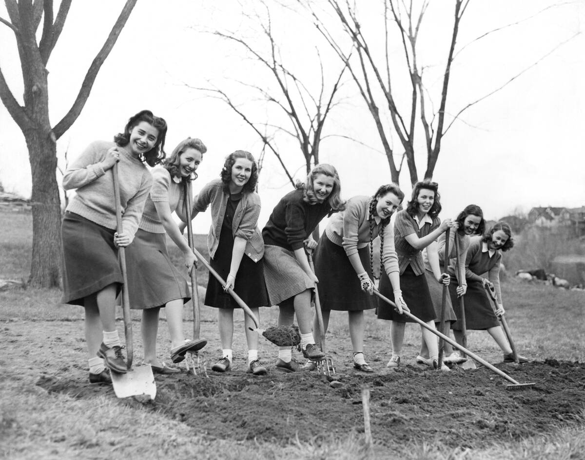 World War Two Victory Garden