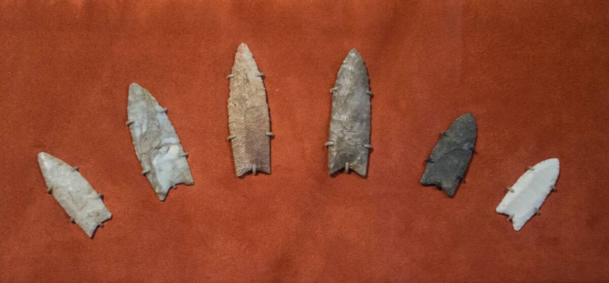 Clovis_spearpoints_ Cleveland_Museum_of_Natural_History