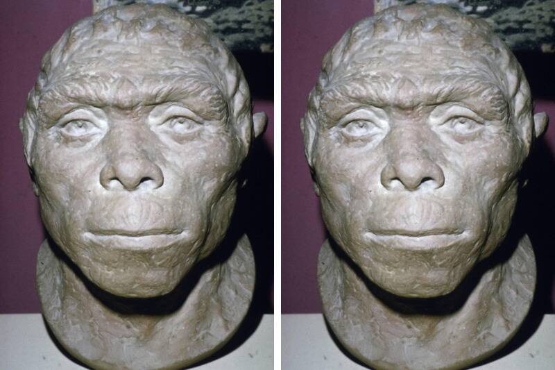 Untitled design - 2025-10-23T111425.694