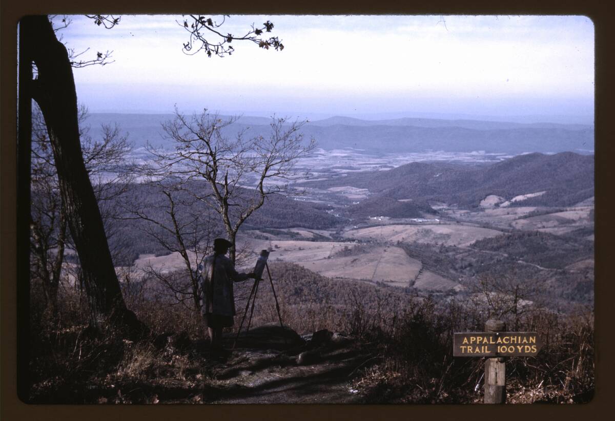 A Woman Painting A View Of The Shenandoah Valley