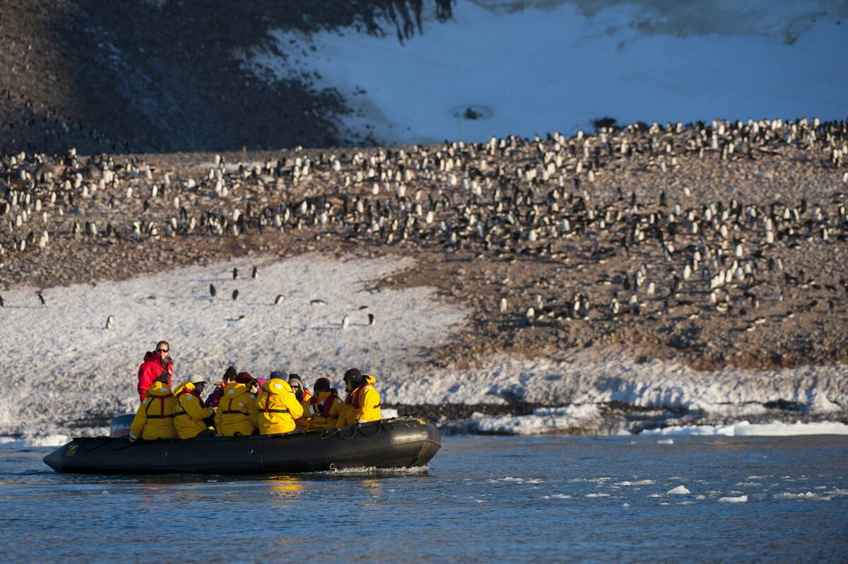 Antarctica, Antarctic Peninsula, Paulet Island, Tourists In...