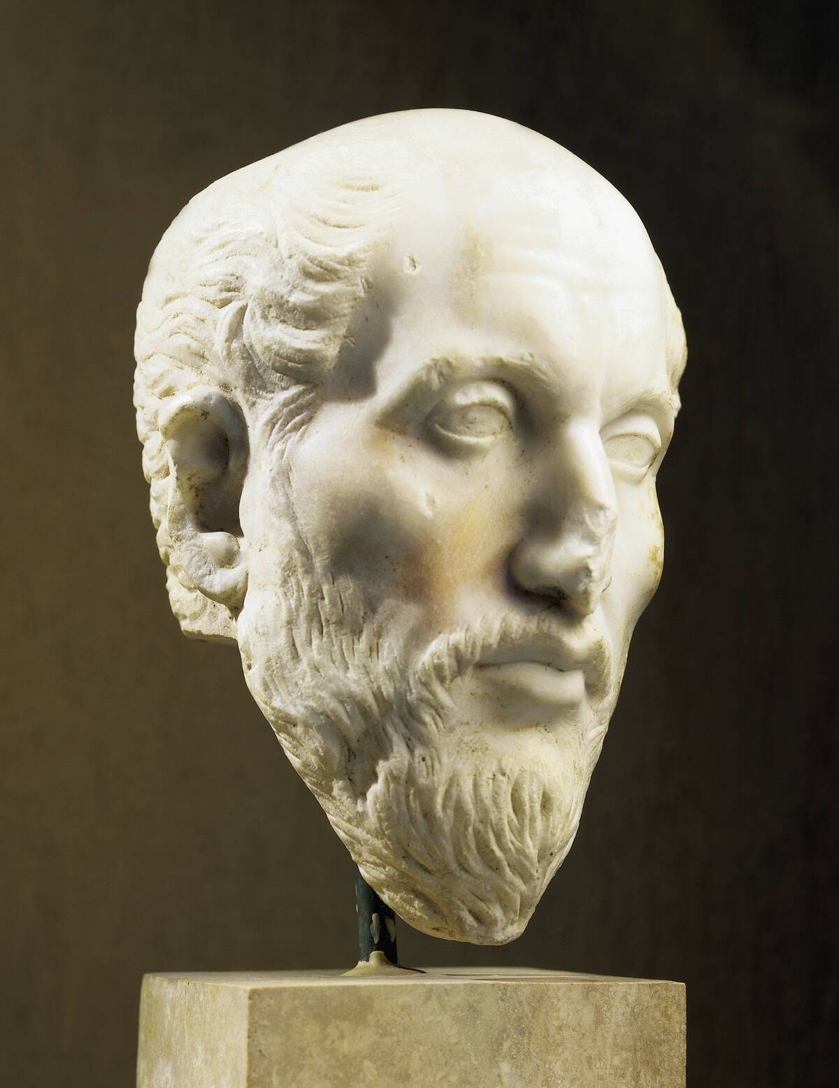 Bust of Plotinus...