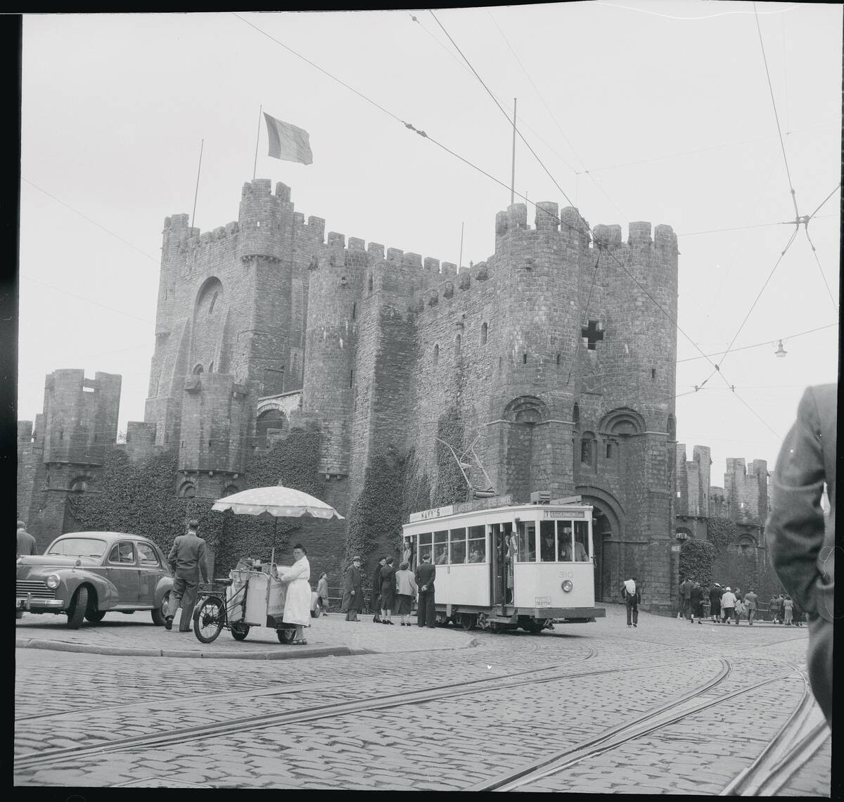 Castle of the Counts