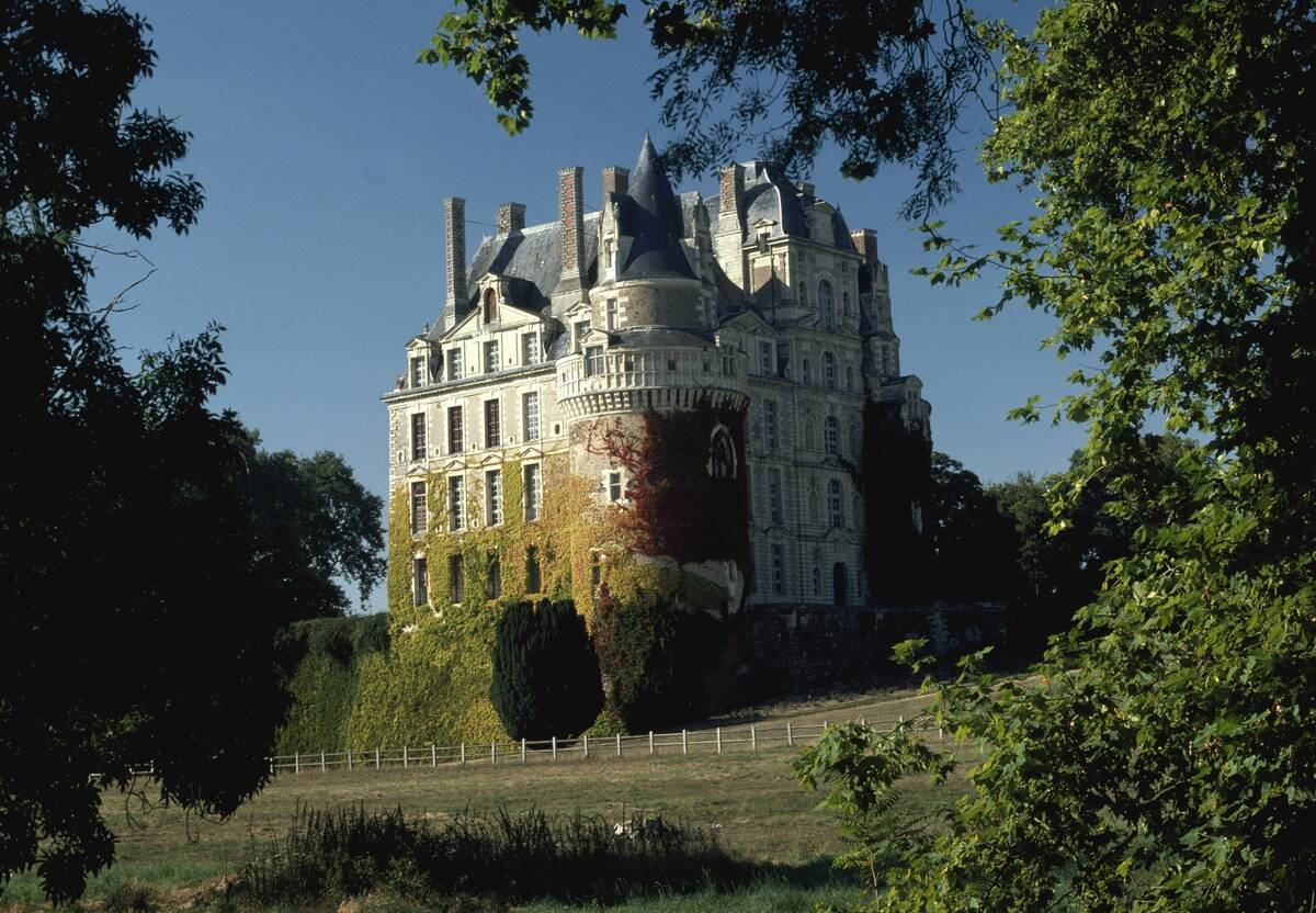 Chateau de Brissac. France