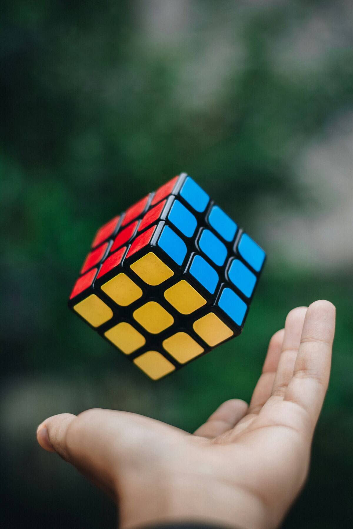 donald-tran-Lvy_S3ELzIs-unsplash