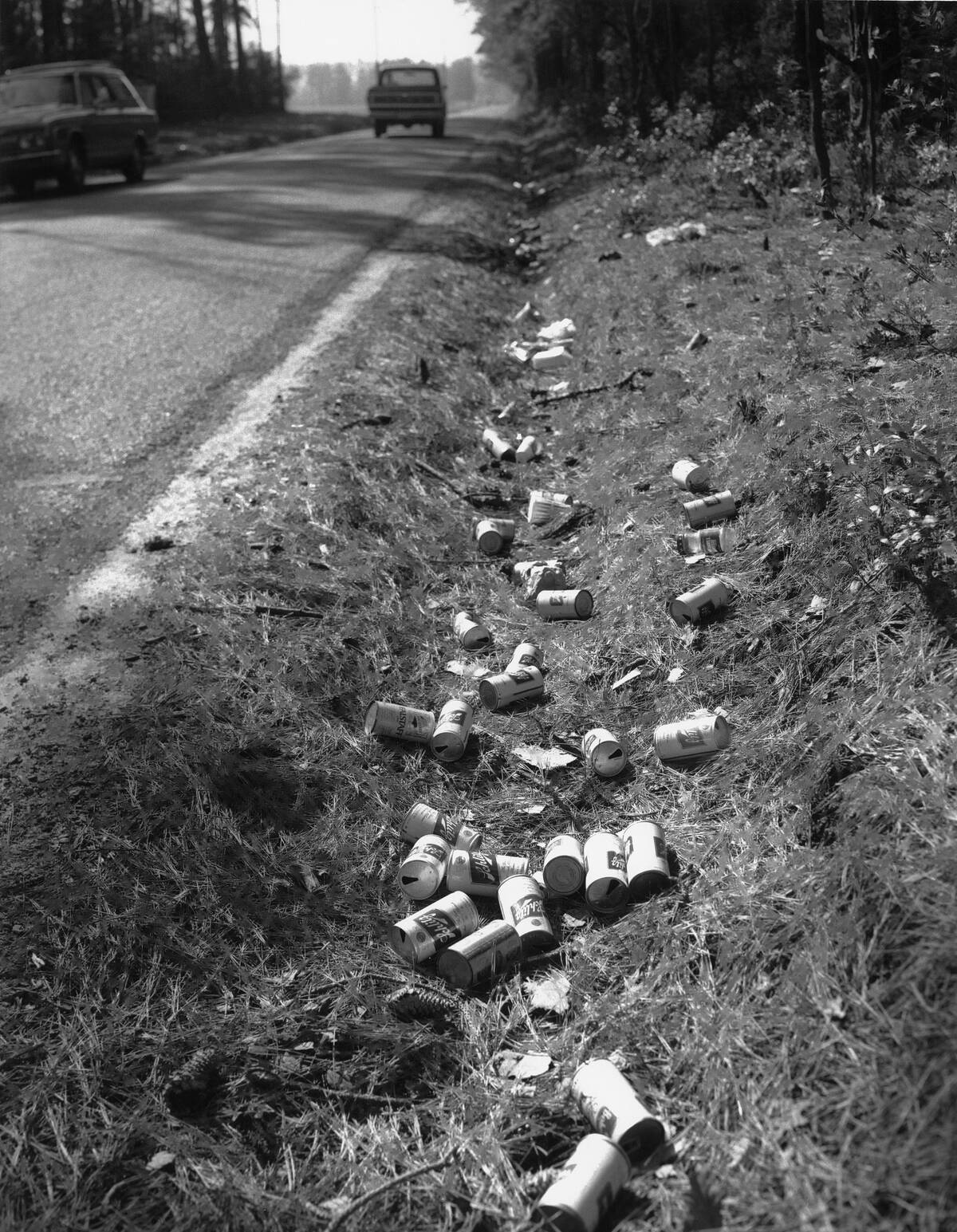 Empty Beer Cans