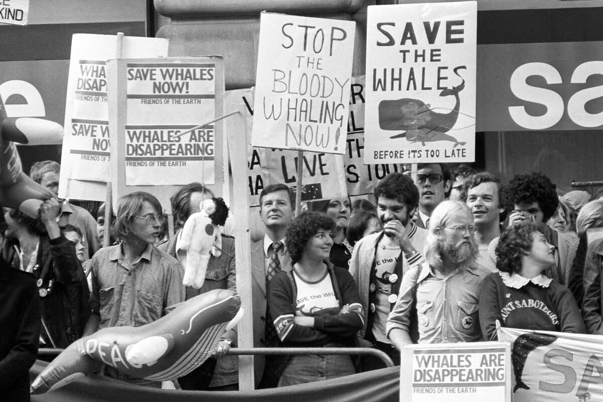 Environment - International Whaling Commission Demonstration - London