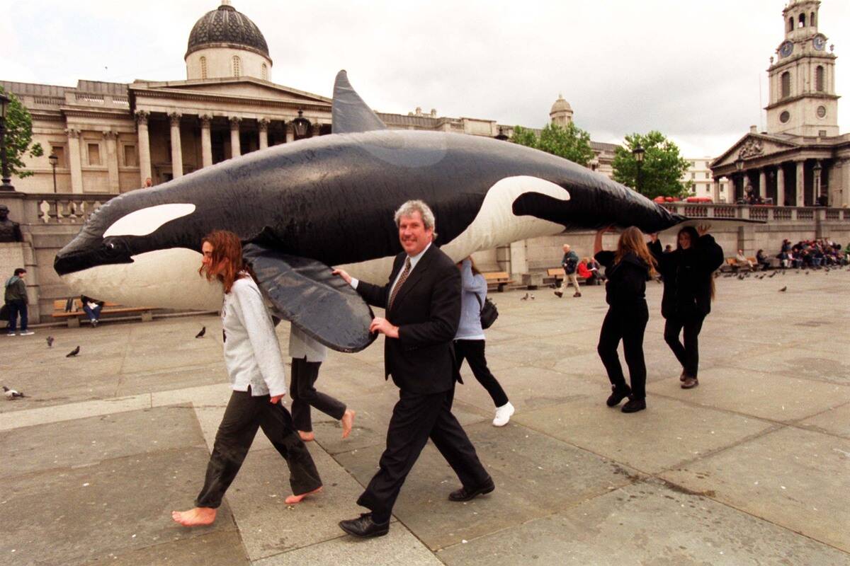 ENVIRONMENT Whales/Morley