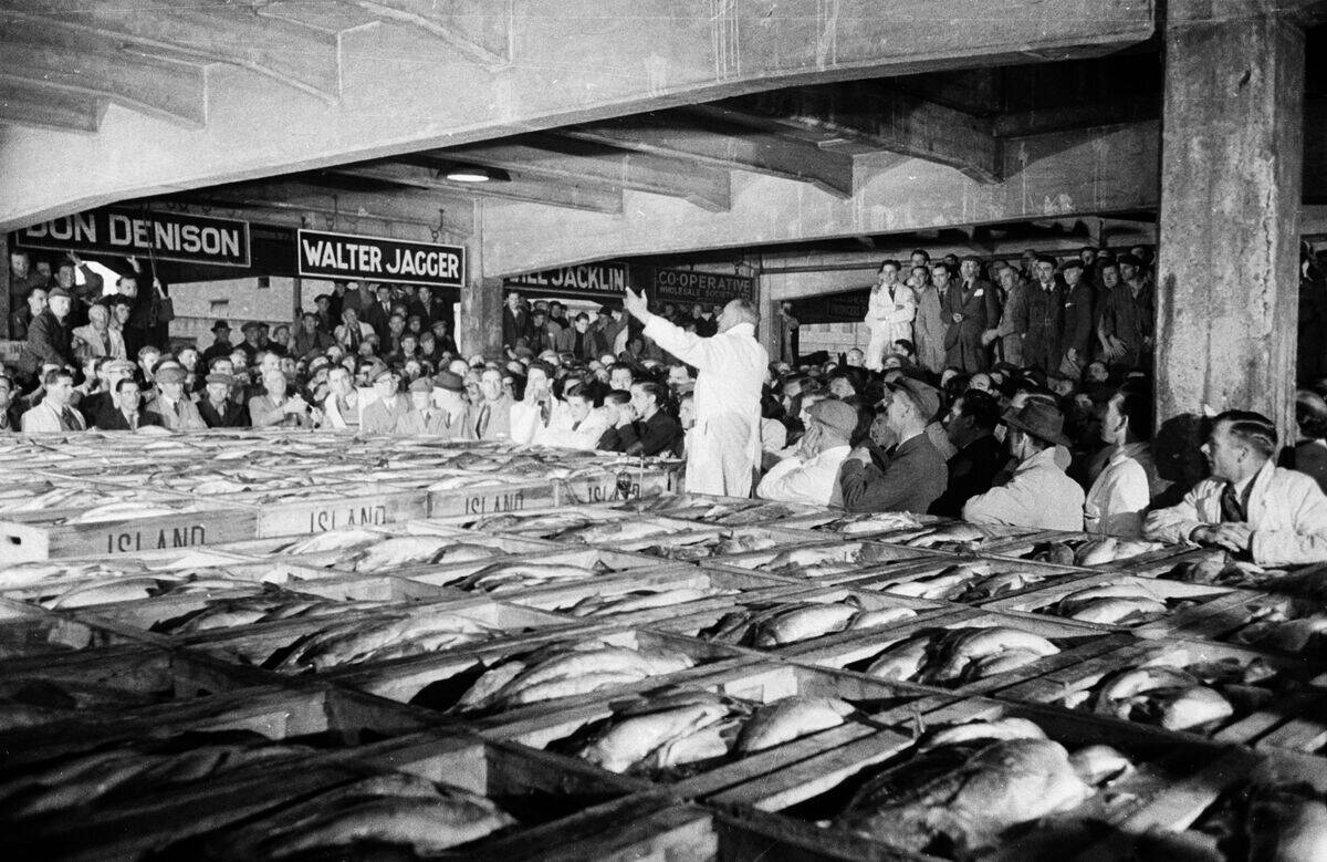 Fish Market